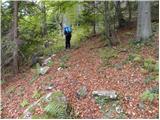 Hruševka - Planina Travnik